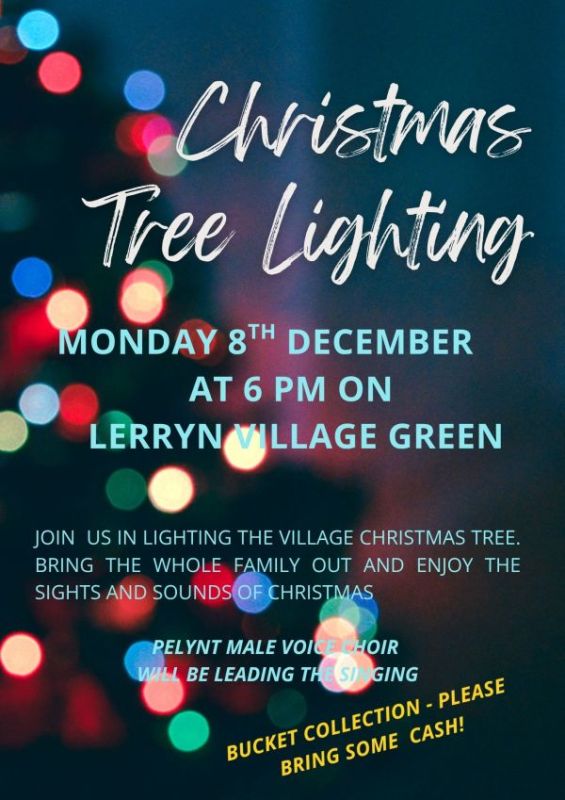 Christmas Tree Lighting